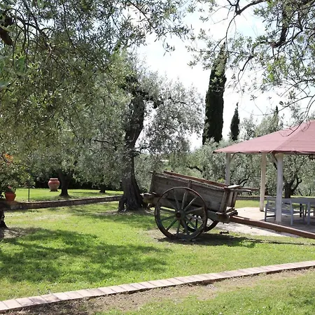 Il Bagolaro Nerola