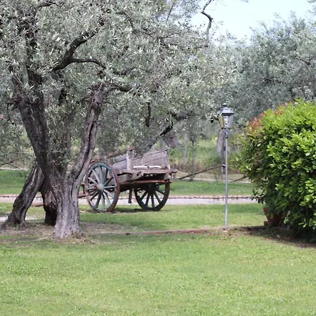 Il Bagolaro