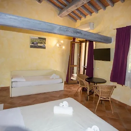 Il Bagolaro Alloggio per agriturismo Nerola