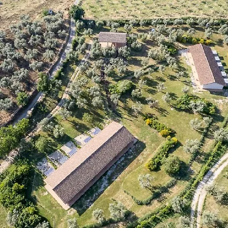 Il Bagolaro Nerola