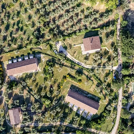 Il Bagolaro Alloggio per agriturismo Nerola