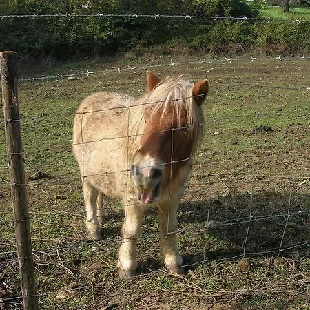 Alloggio per agriturismo Il Bagolaro *