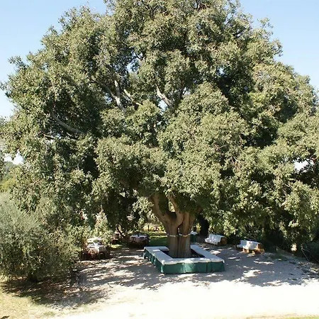 Il Bagolaro * Nerola