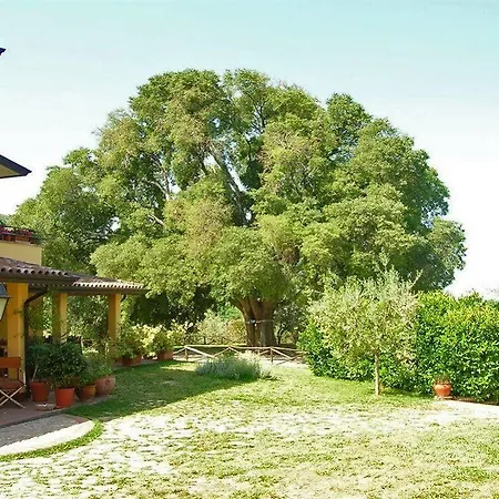 Il Bagolaro Nerola